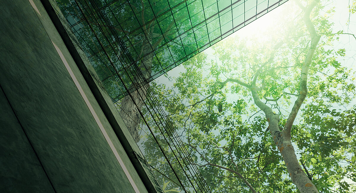 Ein Fenster mit eine Baum